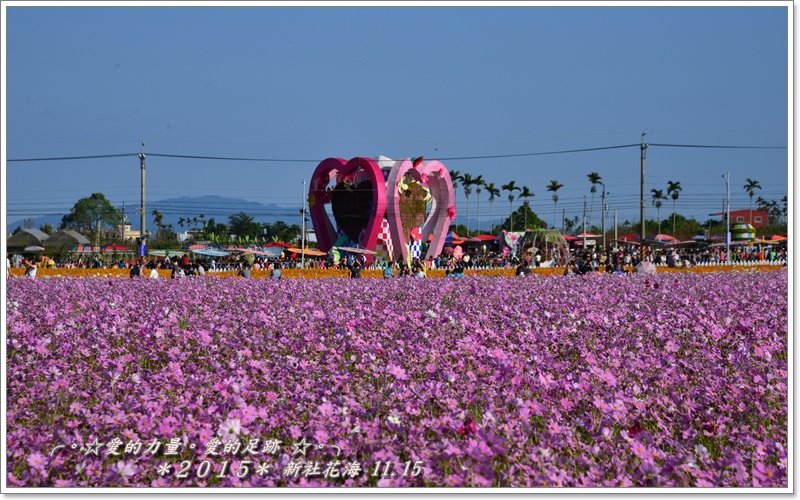 花海25.jpg