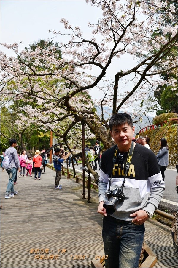 阿里山10.jpg