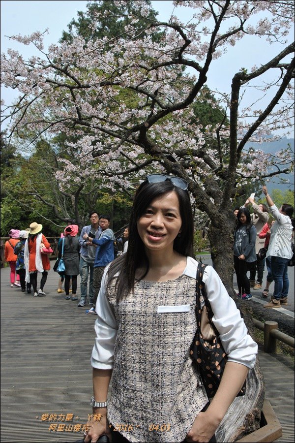 阿里山11.jpg