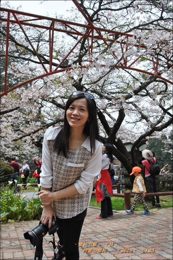 阿里山36.jpg