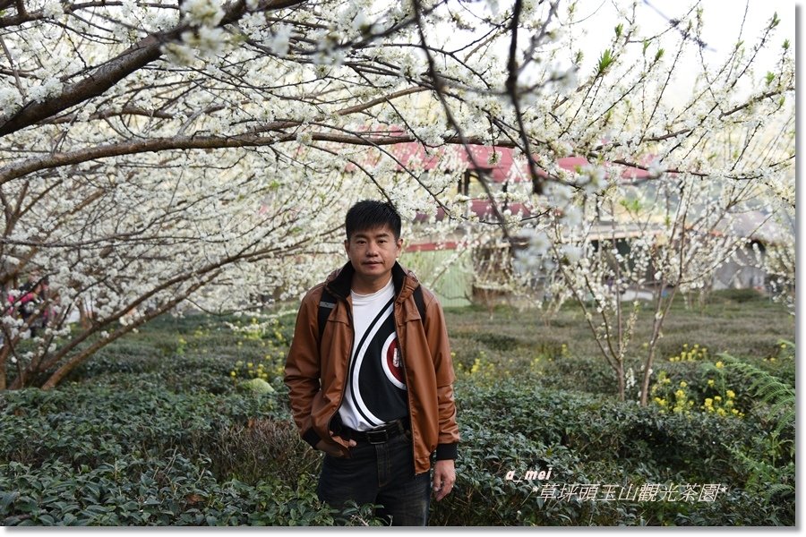 草10.jpg