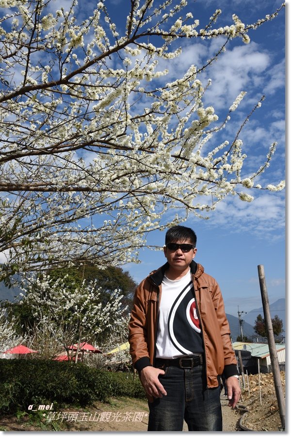 草32.jpg