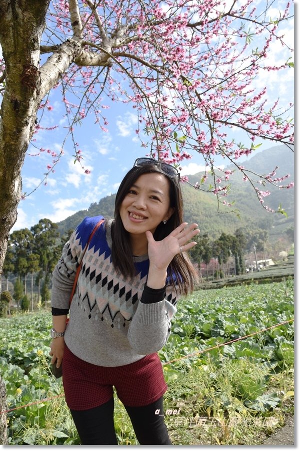 草46.jpg