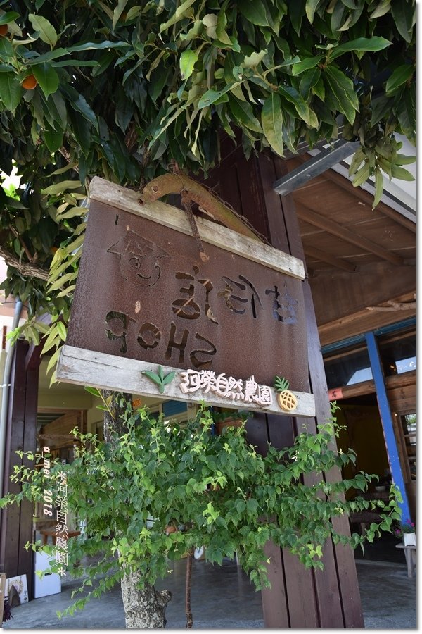 神社13.jpg