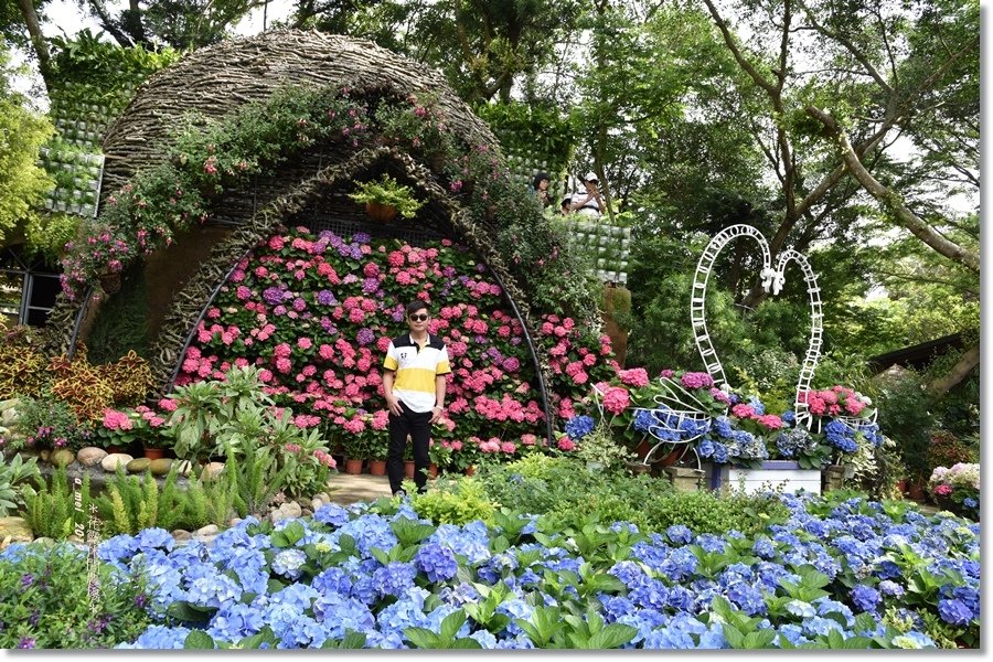 花露10.jpg