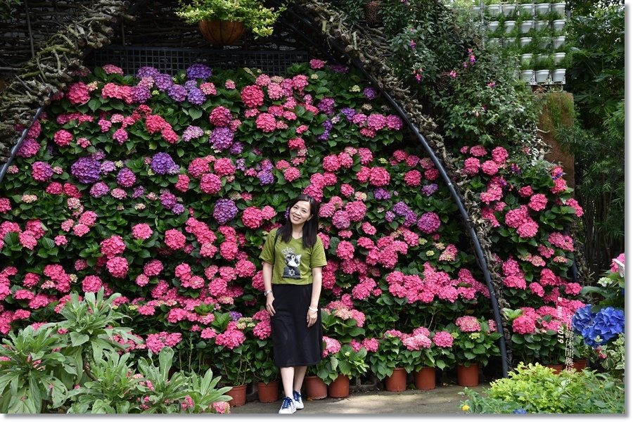花露9.jpg