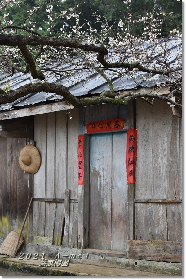 蔡家12.jpg