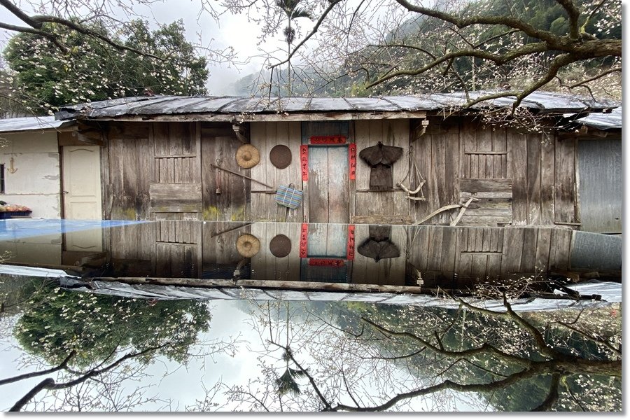 蔡家39.jpg