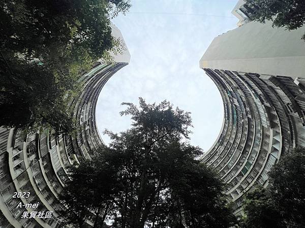 果2.JPG