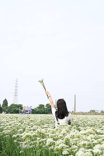 韭9.JPG