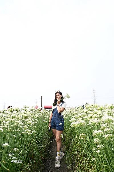 韭12.JPG