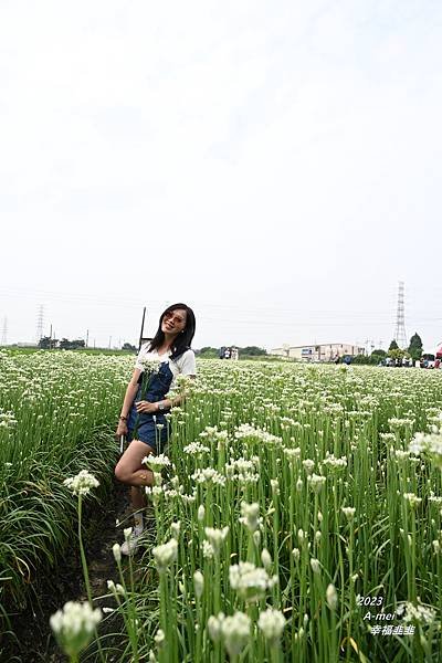 韭20.JPG
