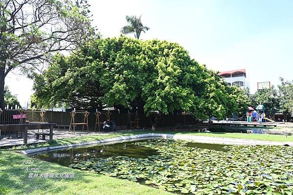 水15.JPG