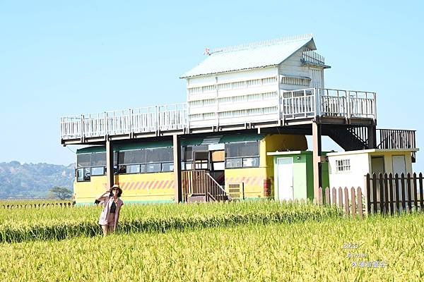 外11.JPG