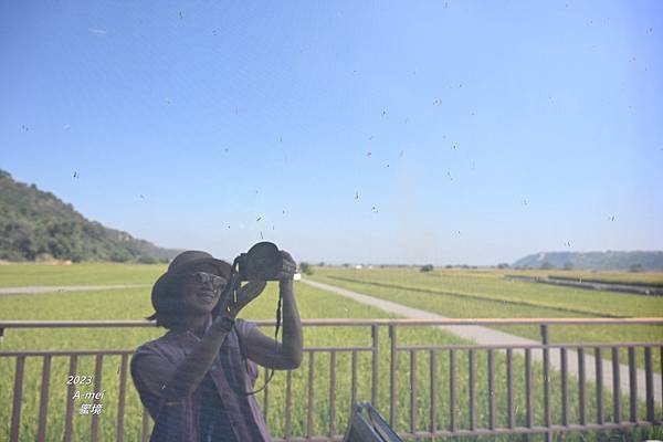 蜜7.JPG