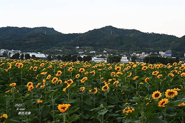 新3.JPG