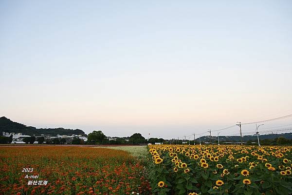 新2.JPG