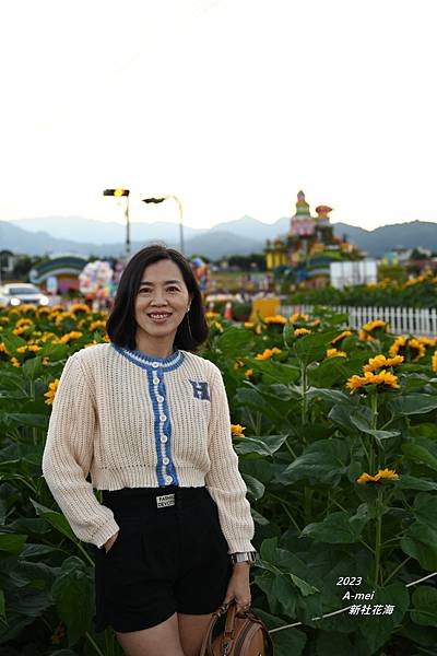 新7.JPG