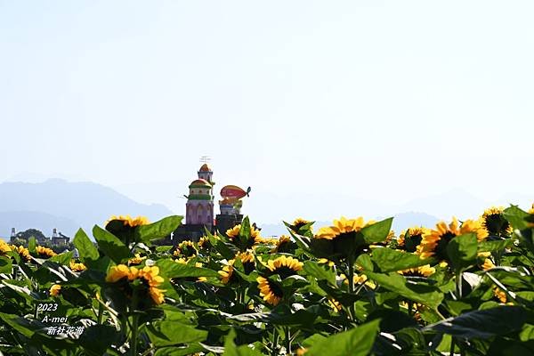 新37.JPG