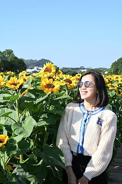 新41.JPG