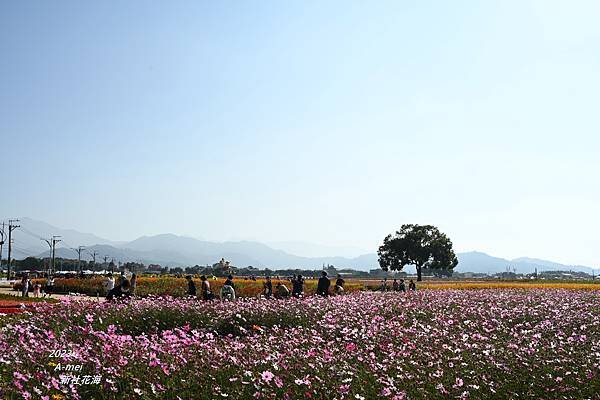 新54.JPG