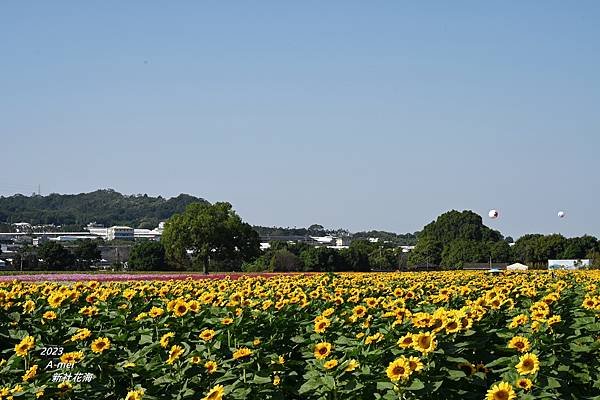 新57.JPG