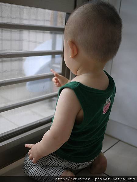 P1100100.JPG