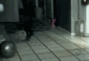 讓你知道什麼叫反應遲鈍.gif