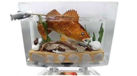 國外正流行的透明馬桶水箱-5.jpg