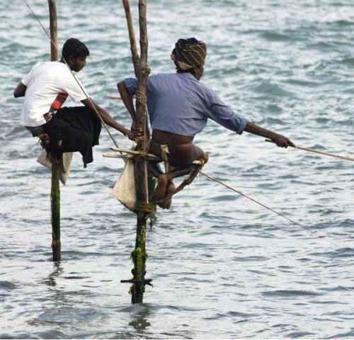 奇特的釣魚方式-2.jpg