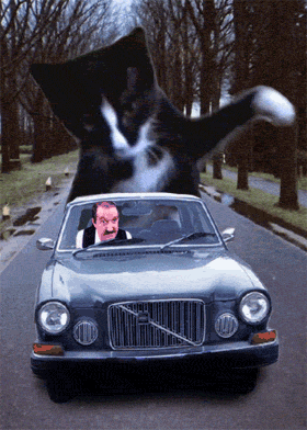 看我的威力.gif