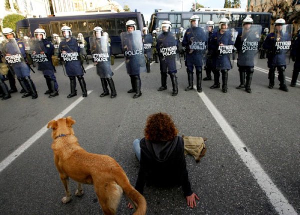 希臘暴動犬 Riot-dog-6.jpg