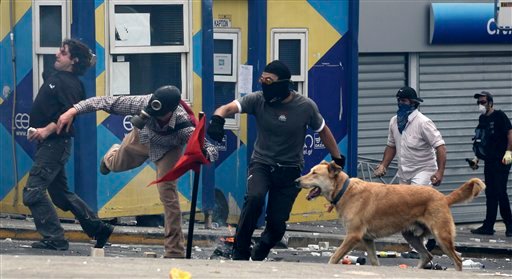 希臘暴動犬 Riot-dog-21.jpg
