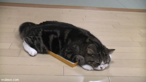 吃好飽...好無聊哦~.gif
