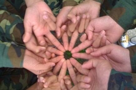 羞答答的菊花靜悄悄的開.jpg