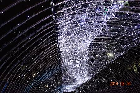 DSC01390.jpg