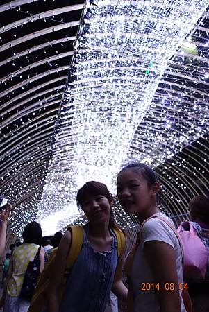 DSC01391.jpg