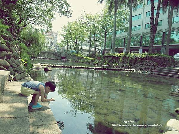 5月。護城河餵魚