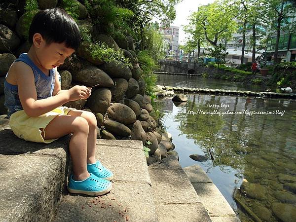 5月。護城河餵魚