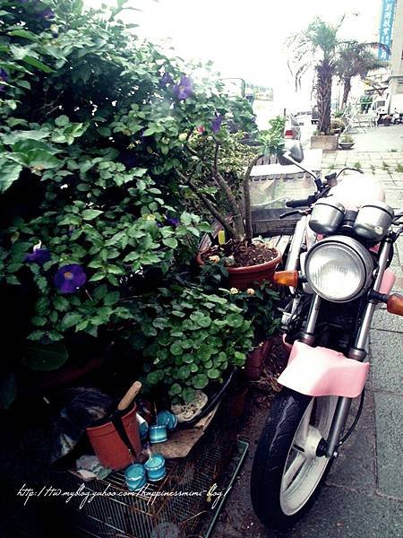 6月。菊島Day2