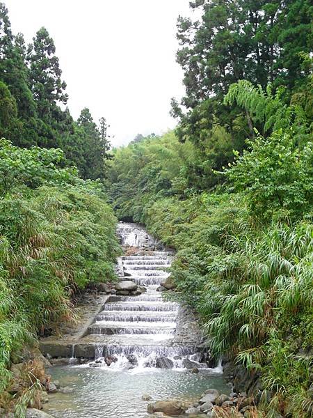 8月。溪頭&amp;妖怪村