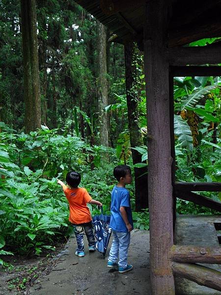 8月。溪頭&amp;妖怪村