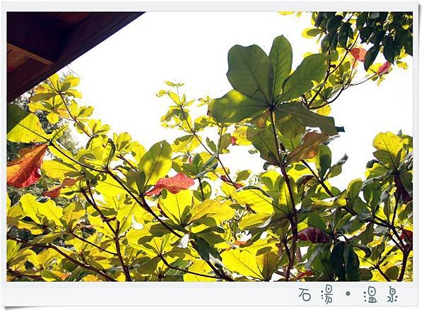 9月。石湯溫泉