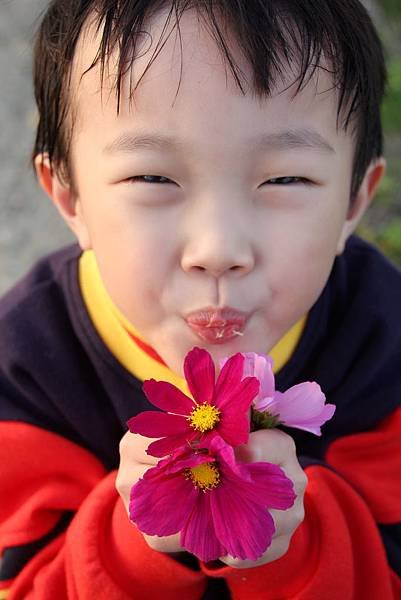 1月花田