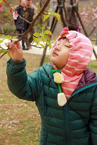 2月。麗池賞櫻