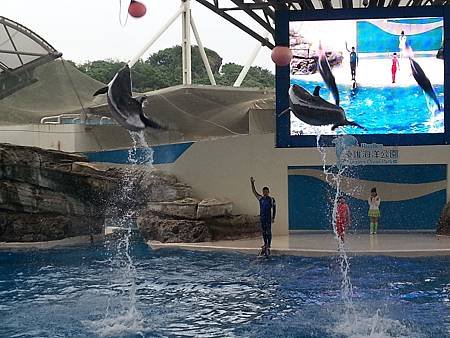 遠雄海洋公園