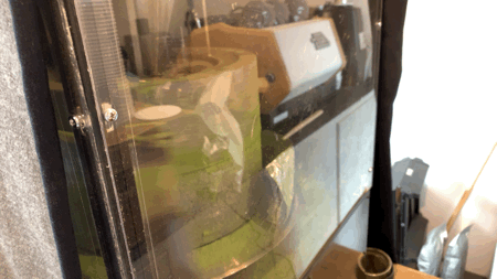 LINE_P20210217_14255002.GIF
