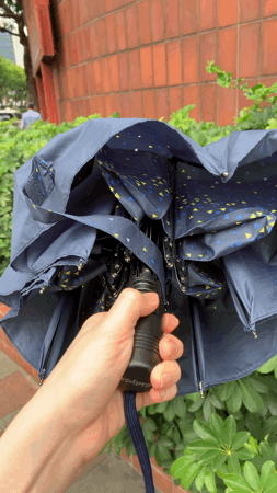 LINE_P641702775.908749.GIF