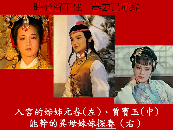 紅樓夢人物.png