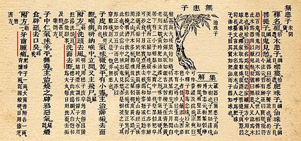 本草綱目.jpg